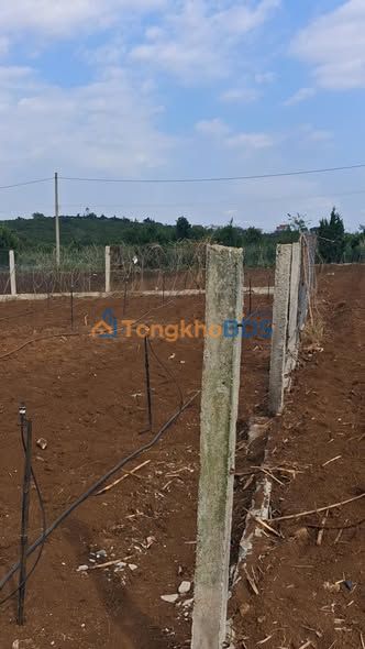 Đất Nền Lâm Hà - 100m² Mặt Tiền Đường Bê Tông, Giá Rẻ 550 Triệu