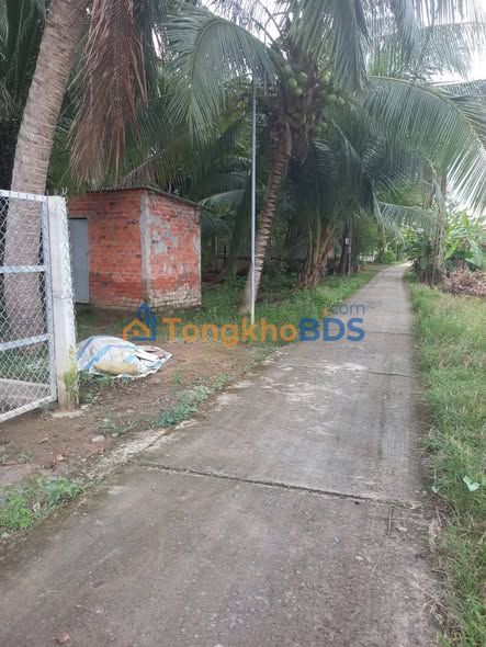 Bán Đất Vườn 385m² Full Thổ Cư, Mặt Tiền Rộng 22m Tại TP. Thủ Dầu Một