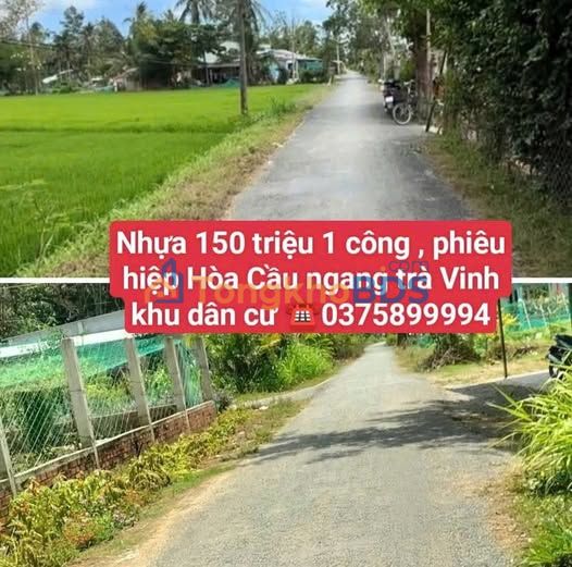Bán 10 Công Đất Ruộng Mặt Tiền Đường Nhựa 36.000m² Tại Trà Vinh
