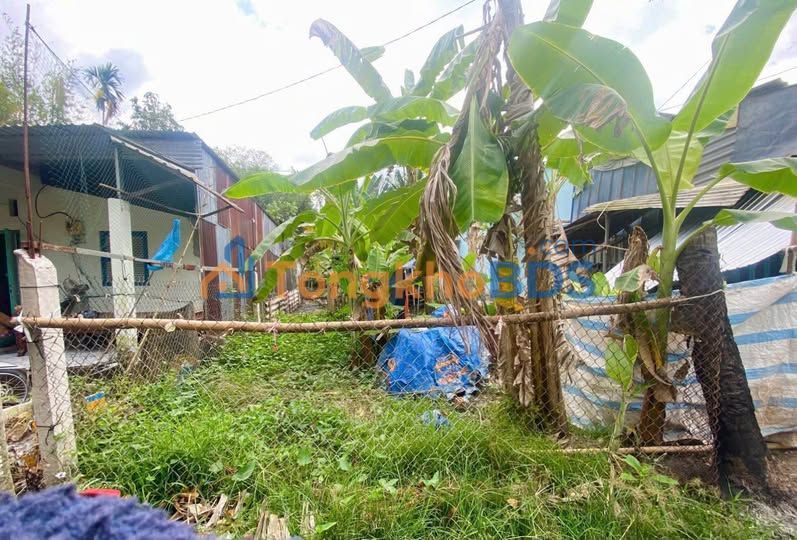 Bán Nền Thổ Cư Cần Thơ 127m² - Sổ Hồng Sẵn Sàng, Gần Chợ Rạch Cam