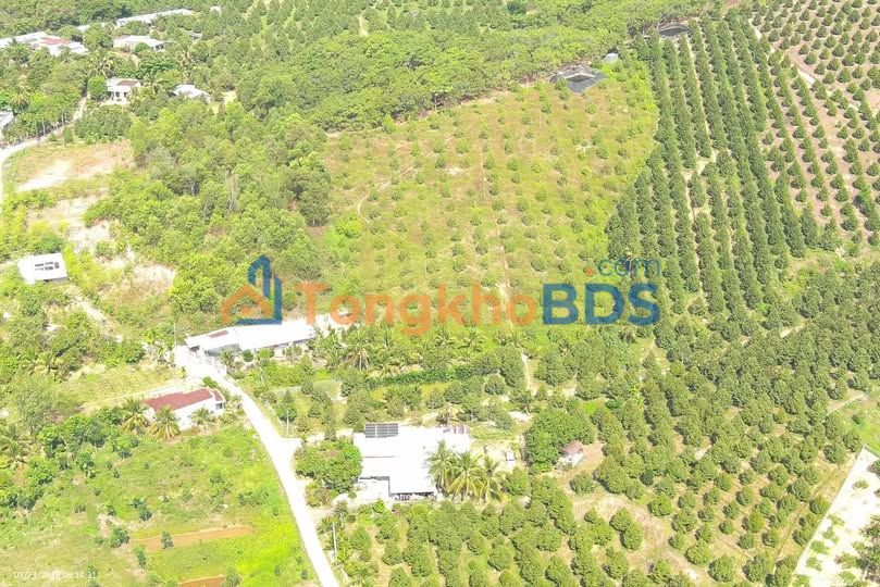 Farm Phú Ngọc Định Quán 10.000m² 4,5 tỷ - Sinh thái xanh