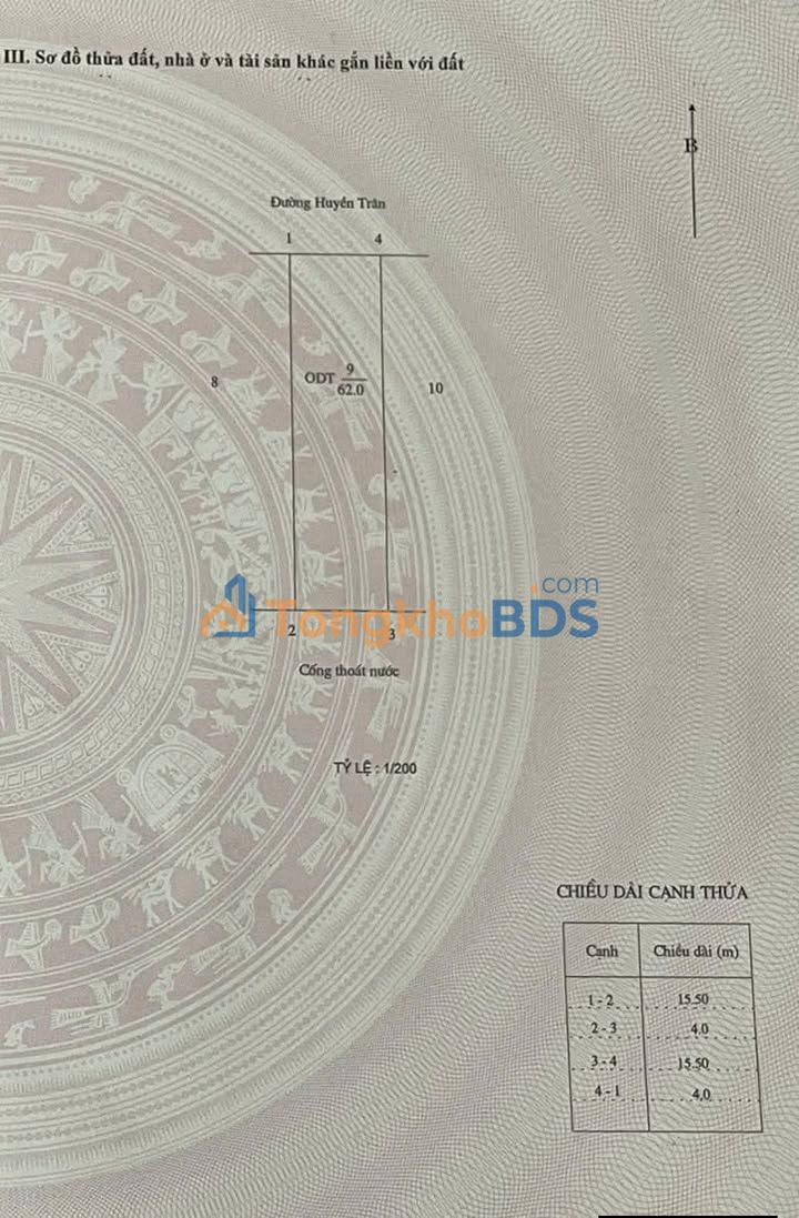 Đất Lộc Vượng Nam Định - Mặt Tiền 4m Đường Huyền Trân, 62m², Kinh doanh Sầm uất
