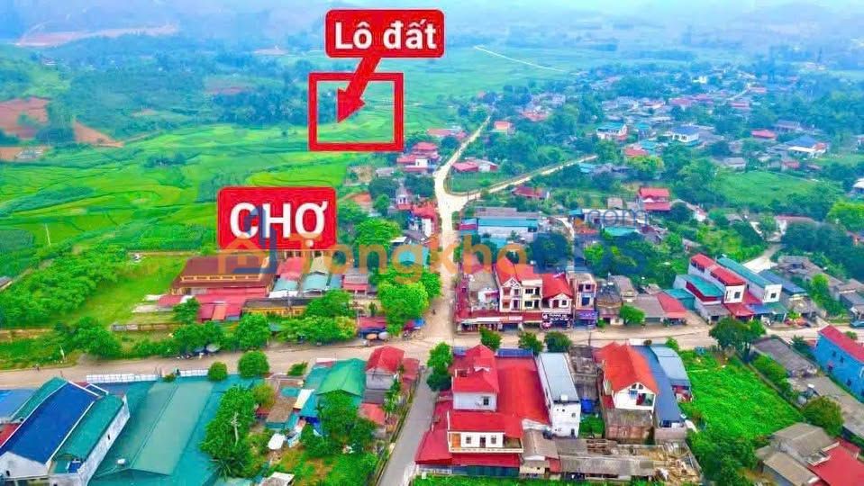 Đất nền Phú Thọ - 384m² Cự Đồng, Thanh Sơn - View Rộng Thoáng