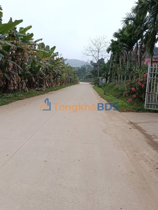 Bán Đất Tây Cốc Đoan Hùng 240m² - Sổ Đỏ Thổ Cư, Gần Chợ