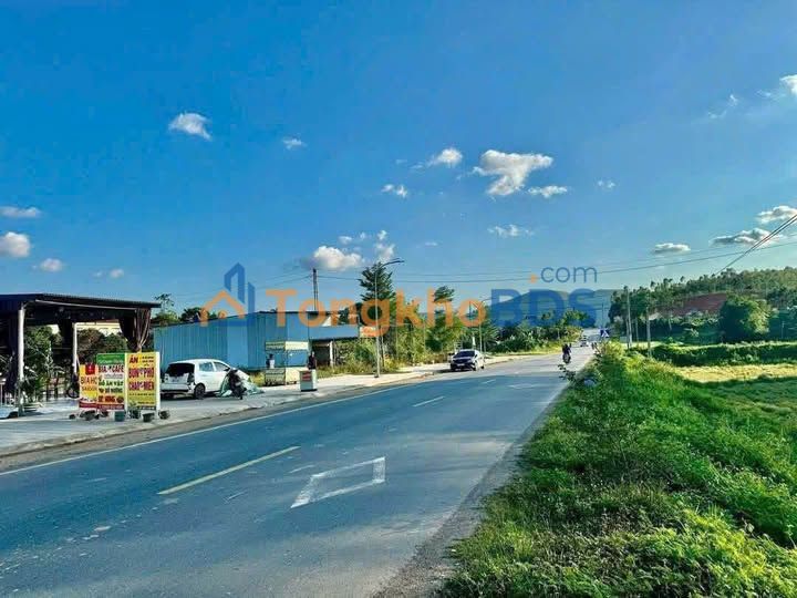 Đất Đấu Giá 100m² Mặt Tiền Đường HCM, Tu Vũ, Phú Thọ - Cơ Hội Đầu Tư Sinh Lời