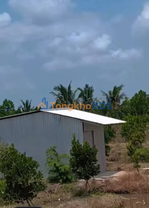 Đất Vườn Tiền Giang 75000m² - SR Mỏnthon, Mít Ruột Đỏ | Giá Đầu Tư 27 Tỷ