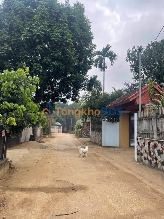 Bán Đất Vườn 500m² Thạch Thất - Sổ Đỏ Sẵn Sàng, Giá Đầu Tư