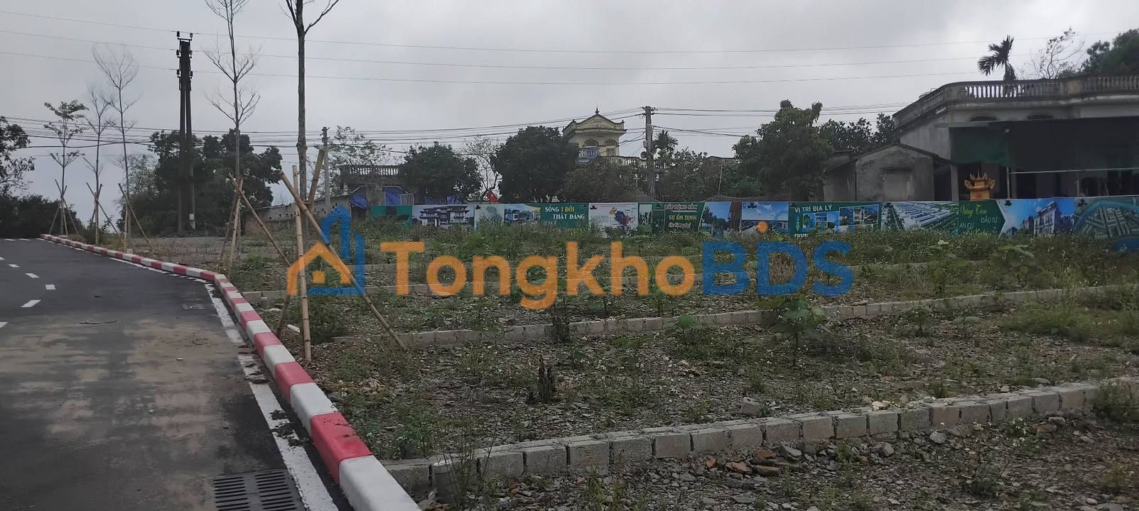 Đất Vườn 140m² Sổ Đỏ Sẵn Sàng Tại Tân Sơn, Phú Thọ - Giá Ngộp 1.35 Tỷ