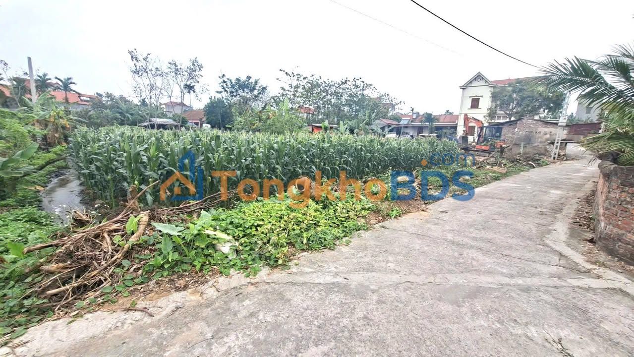 Đất Xuân Phú Bắc Ninh 76m² 600-699 triệu - Giá đầu tư tốt