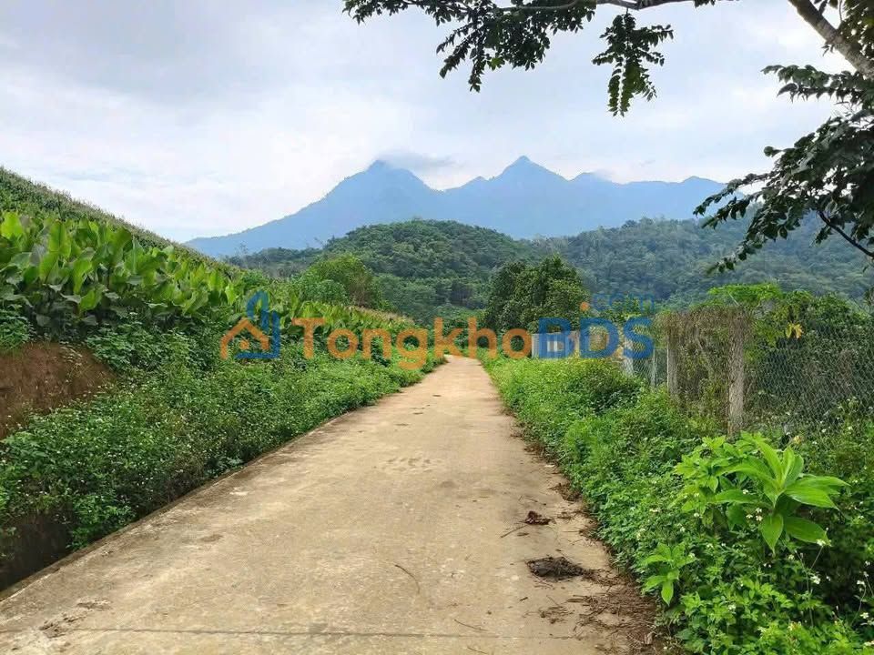 Đất Ba Vì 446m² - Mặt tiền 12m, View thoáng, Giá 1.x Tỷ