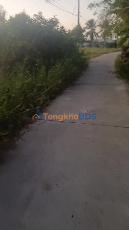 Farm 4999m² Mặt Tiền Sông, Lộ Ô Tô Xã Châu Thới, Bạc Liêu - 1.9 Tỷ