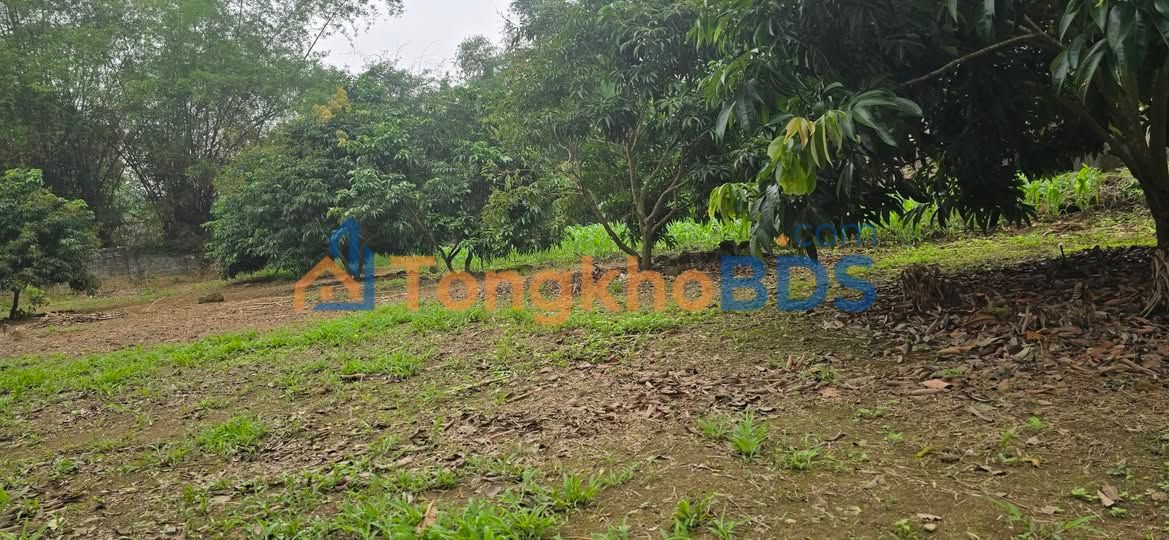 Bán Gấp Đất Vườn Nghỉ Dưỡng 3000m² Thanh Ba, Phú Thọ - Giá Chỉ Dưới 1 Triệu/m²