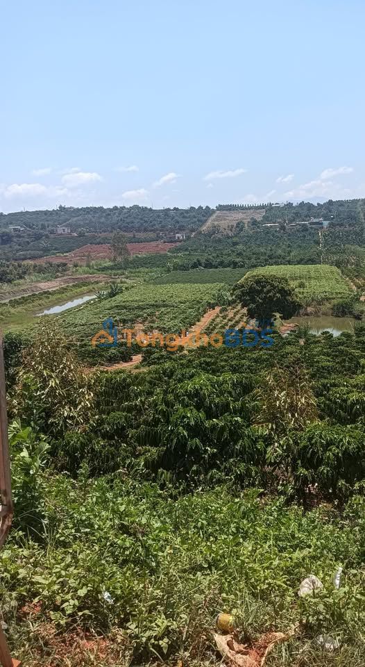 Bán Gấp 13500m² Đất Vườn Tại Hoài Đức - Sổ Đỏ Chính Chủ