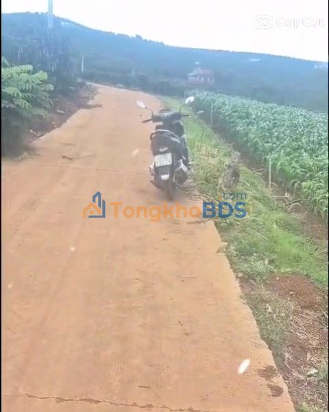 Bán Đất Nền 5400m² Xã Tân Hà, Lâm Hà - 2 Mặt Tiền, Full Thổ Cư