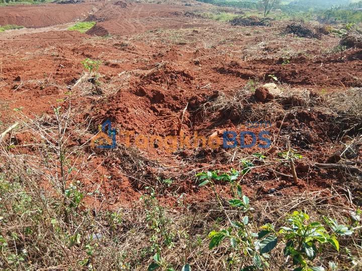 Cho thuê Farm 40.000m² Lâm Hà, Lâm Đồng - Giá 320 Triệu/Năm