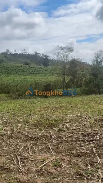 Đất Nền Gia Lai 211m² Mặt Tiền Đông Trường Sơn - Giá 150 Triệu