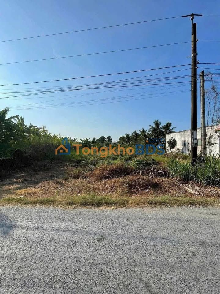 Đất Vườn 674.5m² Mặt Tiền Đường Khánh Hậu, Tân An - Giá 2.2 Tỷ