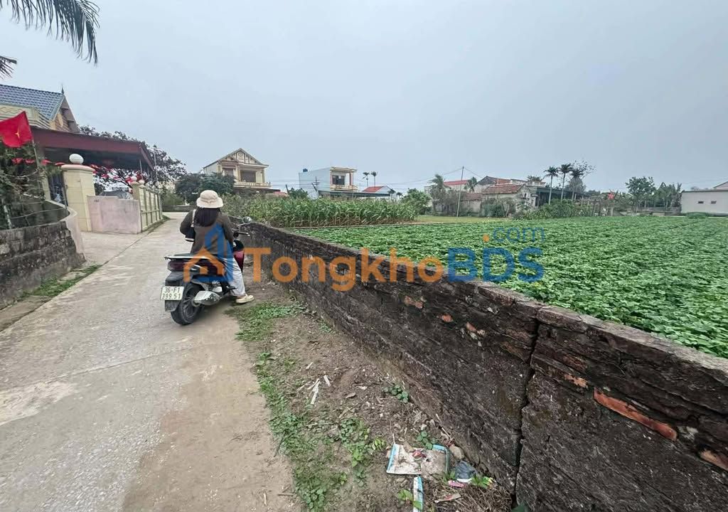 Bán đất Hậu Lộc 142m² hướng Tây - Sẵn sàng xây nhà