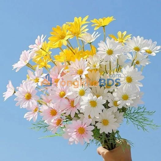 Đất nền Ngô Quyền Phú Quốc 200m² - Đất thổ cư 100%