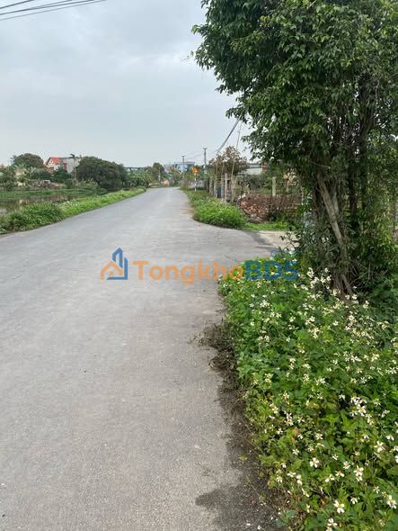 Đất Mặt Tiền 5m Lê Lợi, Kiến Xương 125m² - Sổ Đỏ Sẵn Sàng