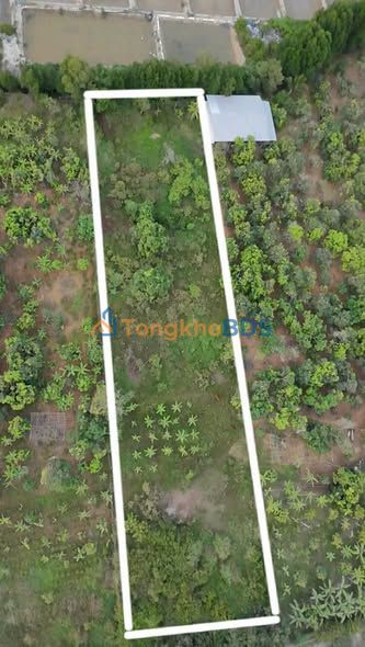 Cho thuê đất mặt tiền Cần Giờ 2983m² - Giá 42 triệu/tháng, sổ hồng chính chủ