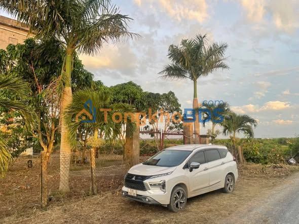 Bán Gấp Trang Trại Yến 1899m² Trung Tâm Lý Nhân, Cần Giờ - 16 Tỷ