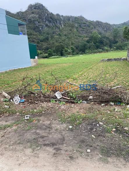 Đất nền Yên Mô, Ninh Bình 100m² - Sổ đỏ chính chủ, gần QL10