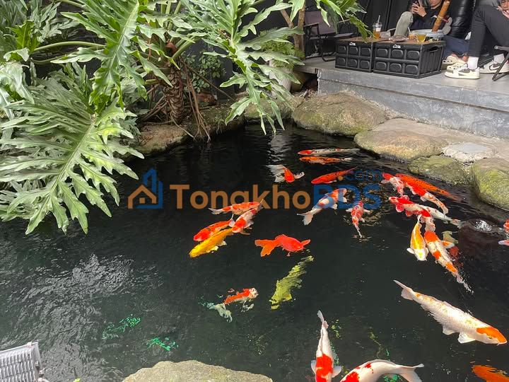 Đất 110m² Đại Hoá, Bắc Giang - Sổ đỏ sẵn, ô tô tránh, giá chỉ 8xx triệu