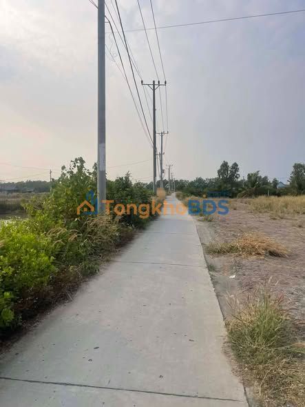 Đất nền An Thới Đông Cần Giờ 3200m² - Sổ đỏ chính chủ