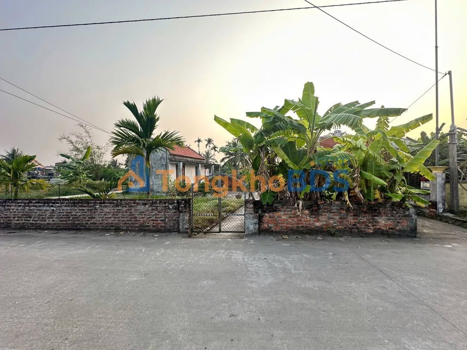 Bán Gấp Đất Vàng Tiên Lãng, Hải Phòng - 339m², Ô Tô Đỗ Cửa