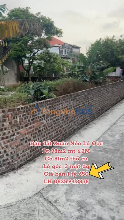 Bán Đất Lô Góc 3 Mặt Tiền Xuân Nẻo, Tứ Kỳ - 98m² Giá 1.65 Tỷ