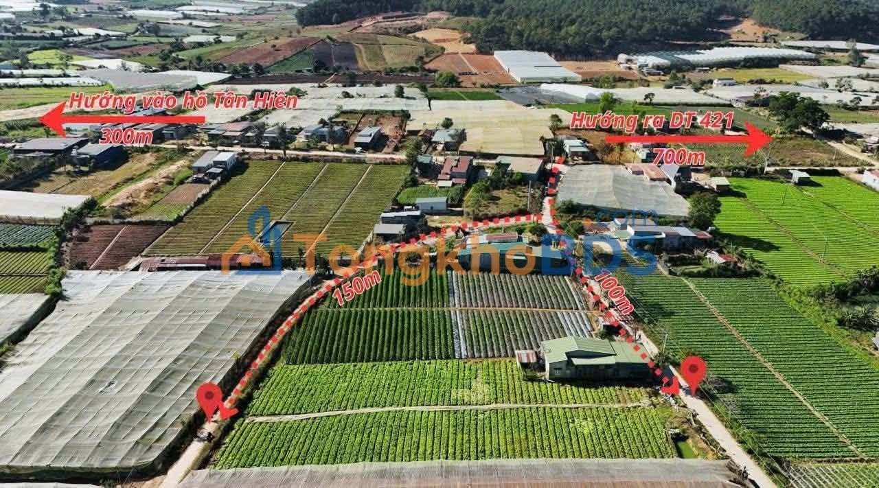 Đất Nền D'Ran, Lâm Đồng - 220m² Sổ Hồng Thổ Cư Giá Tốt