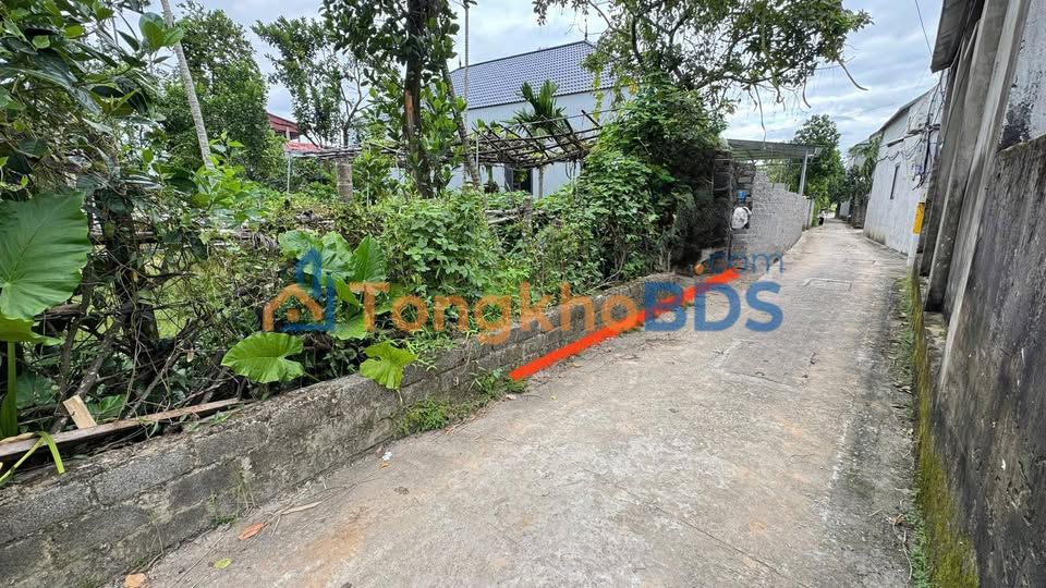 Đất nền Vân Đình 83m² giá 2 tỷ - Sổ đỏ chính chủ