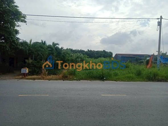 Mặt Tiền Đức Hòa Thượng 4900m² - Kinh Doanh/Đầu Tư Hời 6.5 Tỷ