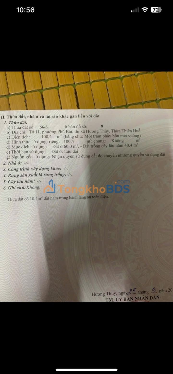 Nhà mặt tiền Lý Đạo Thành 104m² 1,6 tỷ - Mặt tiền kinh doanh