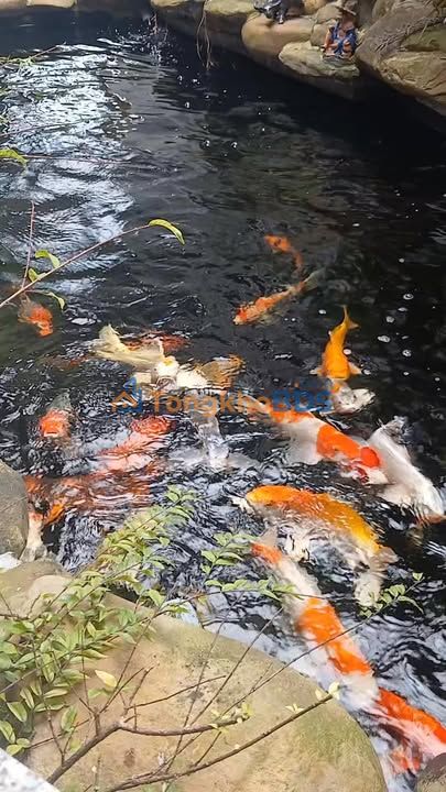 Nhà Mặt Tiền Quốc Lộ 49B - 200m² - Trung Tâm Điền Lộc, Huế - Giá 3.59 Tỷ