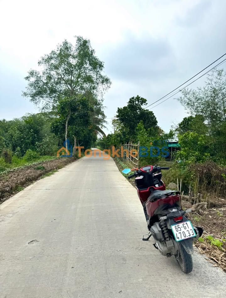 Bán Đất Vườn 5500m² Mặt Tiền 127m Tại Dự Án Vingroup, Hậu Giang