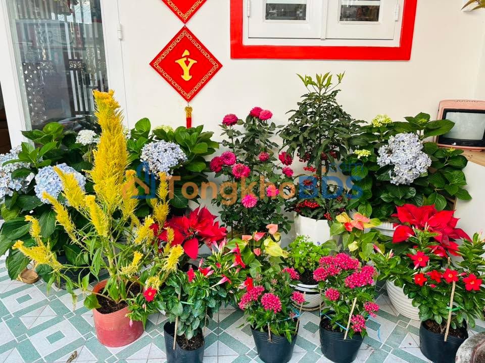 Đất Nền Vĩnh Long 237.8m² - View Sông Mỹ Thuận, Lộ Ô Tô 390 Triệu