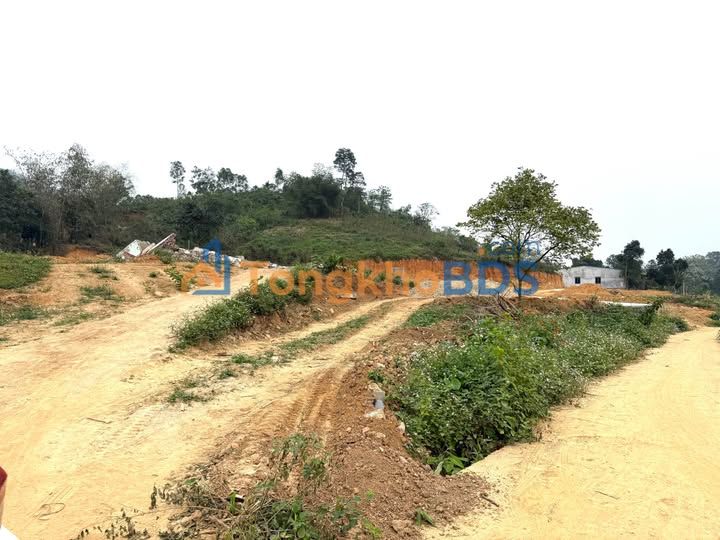 Đất nền Phường Nông Tiến, Tuyên Quang - Giá từ 6xx triệu, đa dạng diện tích