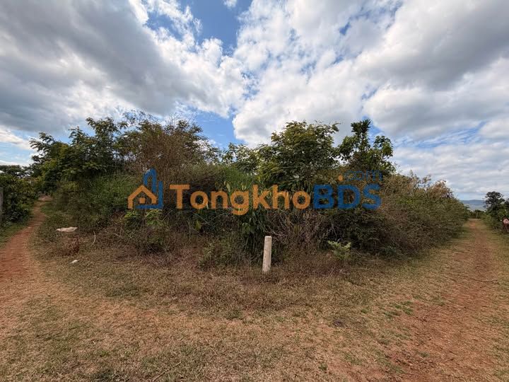 Bán Đất Biển Hồ Gia Lai - Lô Góc 374m² Sổ Đỏ Sẵn Sàng, Giá Chỉ 1 Tỷ Hơn