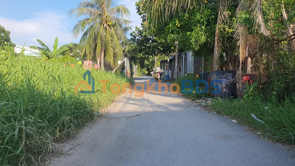 Đất nền Bình Mỹ Củ Chi 4.925m² 32 tỷ - Sổ đỏ chính chủ