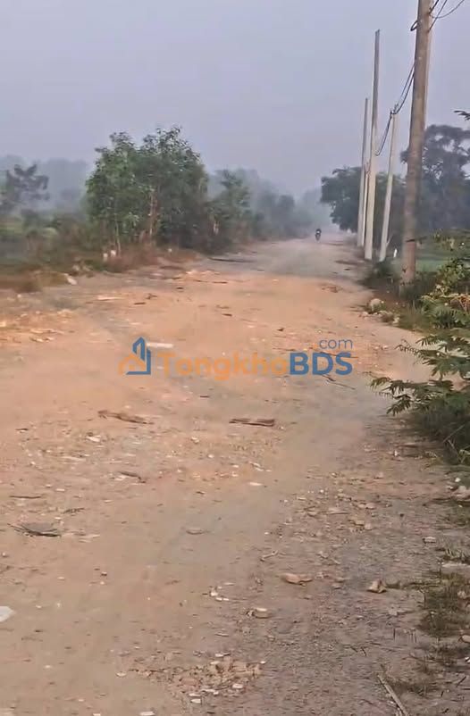 Bán Đất 10.000m² Hóc Môn - Sổ Đỏ, Sẵn Kho, Gần Vành Đai 3