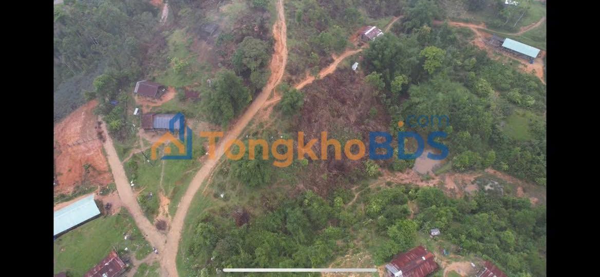 Đất nền Măng Đen 1123m² - Góc 2 mặt tiền, bám đường 100m, giá 2 tỷ