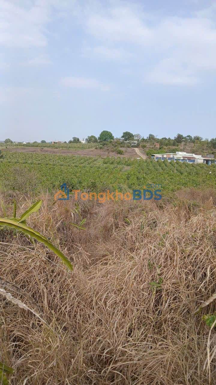 Đất nền Hàm Mỹ 1300m² 990 triệu - Đường to ô tô