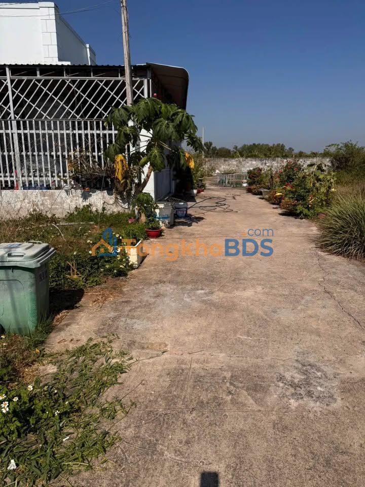 Đất Nền Hàm Thắng 124m² Giá 800 Triệu - Sổ Đỏ Sẵn Sàng