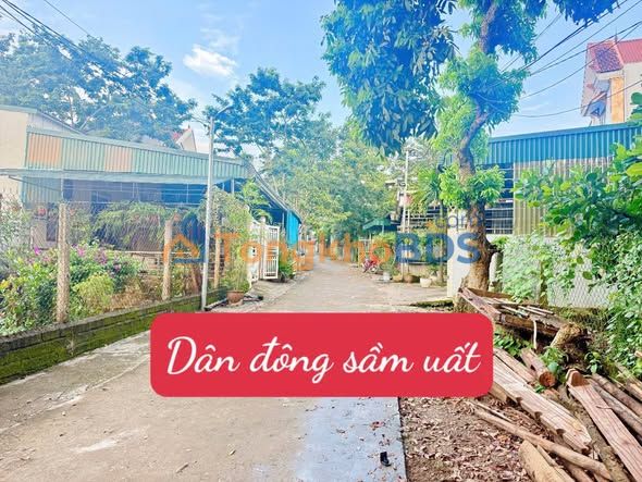 Đất Nền Thung Nai, Hòa Bình 301m² - Mặt Tiền 18m, Bám Suối, Tiềm Năng Kinh Doanh