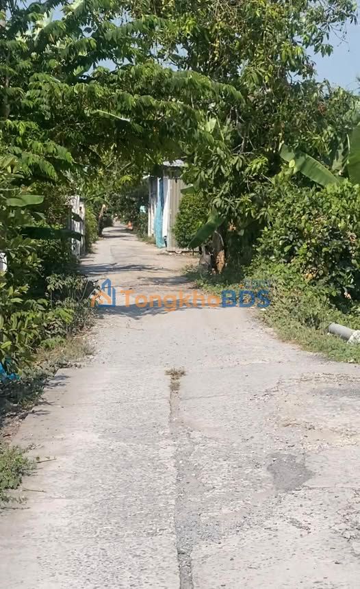 Bán Nền 10x26m Thổ Cư 260m² Tại Xã Phương Trà, Đồng Tháp - Giá Tốt