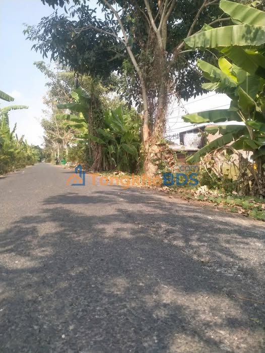 Đất nền Mỹ Ngãi Cao Lãnh 80m² 540 triệu - Đường to ôtô