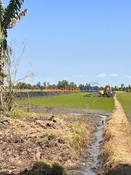 Bán Gấp Đất Vườn 6.1ha Đồng Tháp - Sổ Đỏ Sẵn Sàng