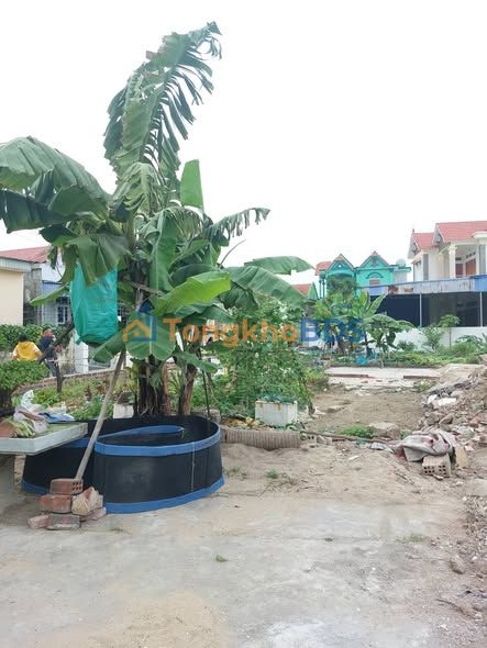 Đất Mặt Đường Thủy Nguyên 86.2m² - Kinh Doanh Sầm Uất, Giá 2 Tỷ Tốt